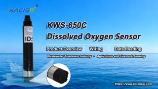  KWS-650C Dissolved Oxygen Sensor Overview, Wiring & Data Reading