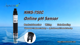 KWS-750C Online PH Nitrogen Sensor Overview, Wiring & Data Reading