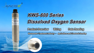 KWS-600 Online Dissolved Oxygen Sensor Overview, Wiring & Data Reading