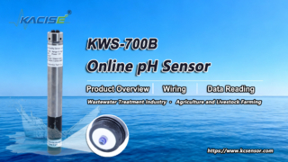 KWS-700B Online PH Nitrogen Sensor Overview, Wiring & Data Reading