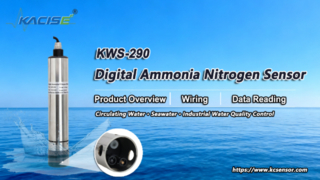 KWS-290 Digital Ammonia Nitrogen Sensor Overview, Wiring & Data Reading