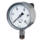 Hot sale economical stainless steel recording pressure gauge