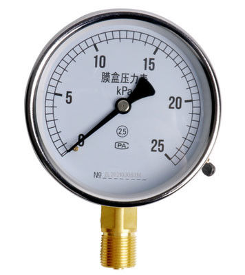 Stainless Steel Bellows Pressure Gauge with IP65 Protection and Bellows Sensing Element for Micro and Negative Pressure Measurement