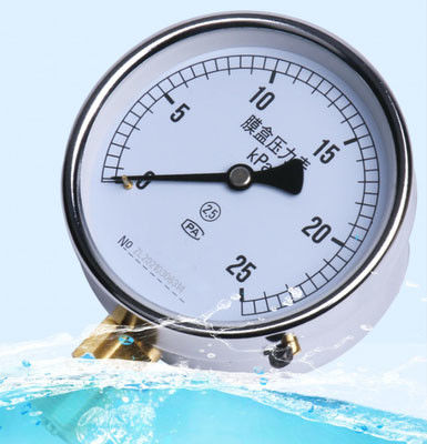 Stainless Steel Bellows Pressure Gauge with IP65 Protection and Bellows Sensing Element for Micro and Negative Pressure Measurement